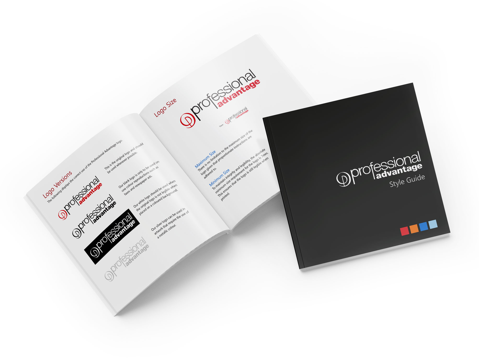 Professional Advantage Style Guide