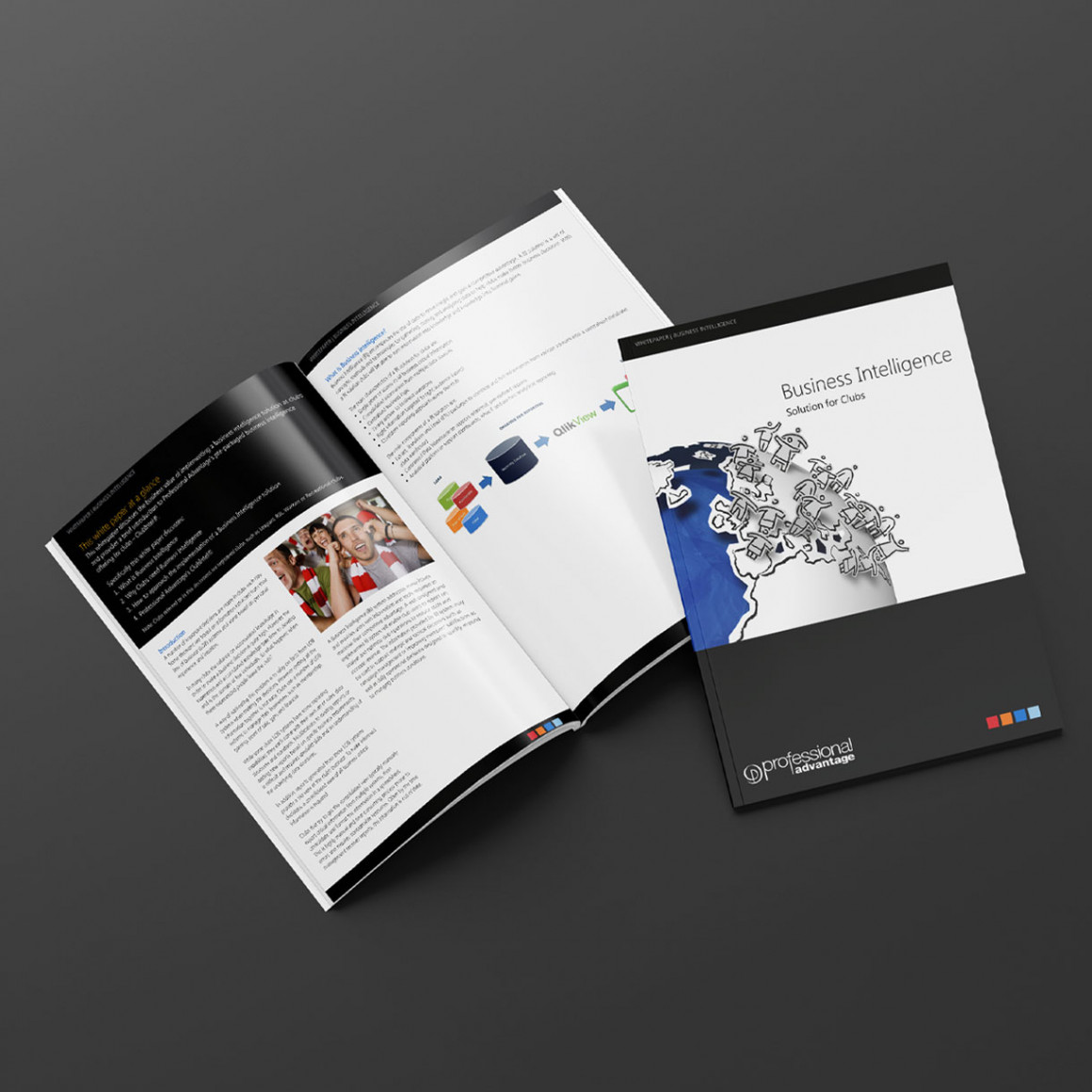 Business Intelligence Whitepaper